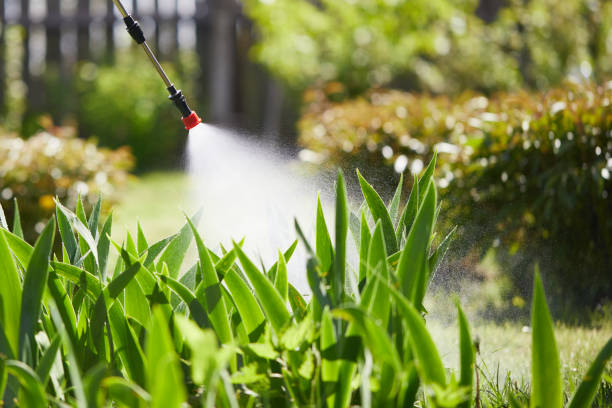 24/7 Emergency Wasp Removal experts in New Haven, MI