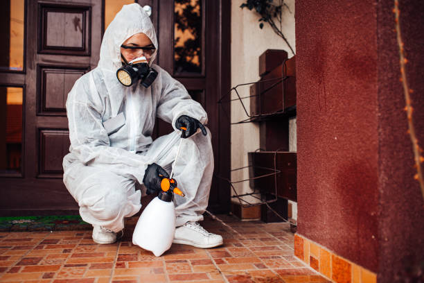 Reliable Wasp Removal contractor in New Haven, MI by Show Me Pest Control